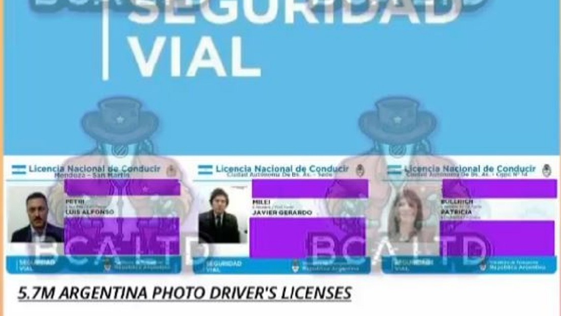 'Hackean' base de licencias de conducir de Argentina y muestran las de Milei y Bullrich