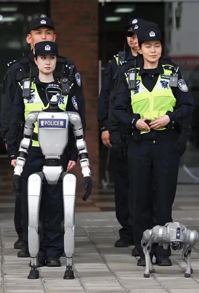 Robocop china