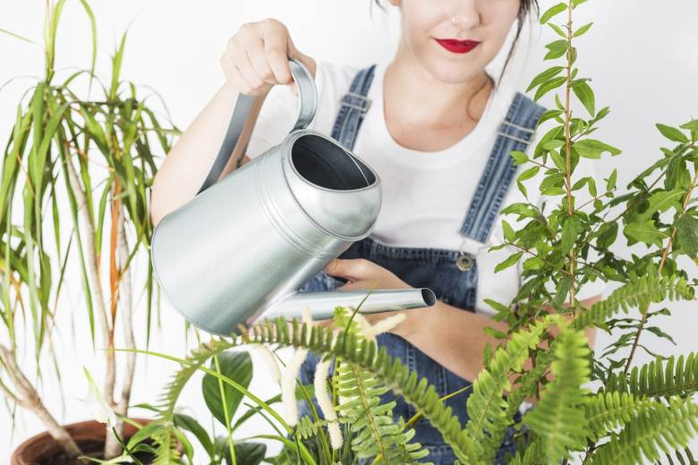 regar las plantas
