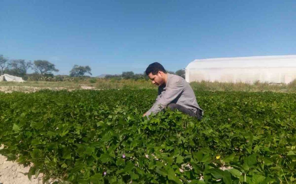 Refuerzan vinculación del Campo Experimental Cotaxtla