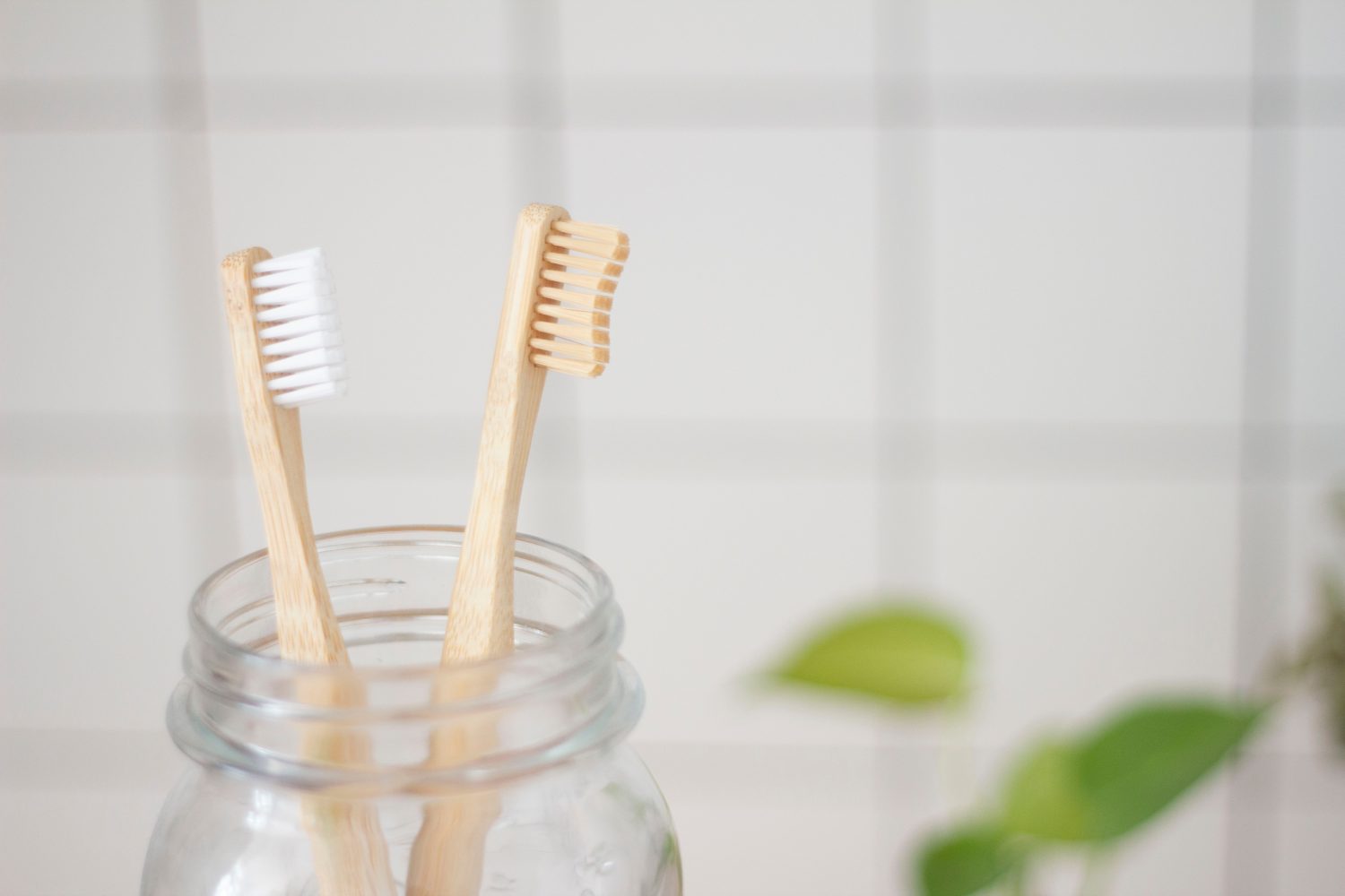cepillo de dientes, bacterias