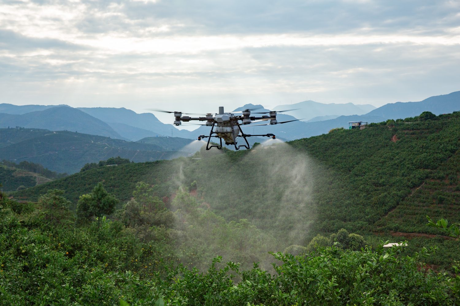 DJI renueva sus drones agrícolas Agras T100, T70P y T25P