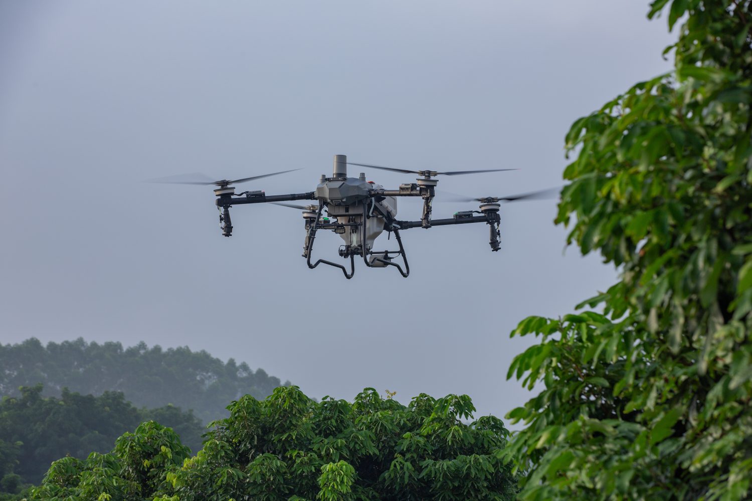 DJI renueva sus drones agrícolas Agras T100, T70P y T25P