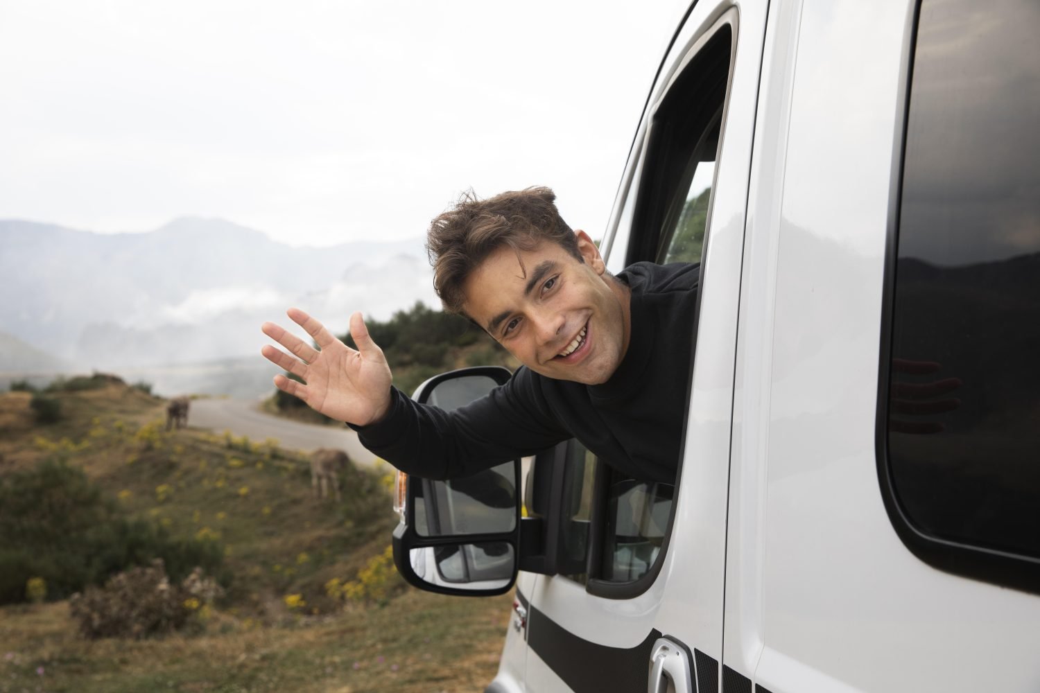camioneta