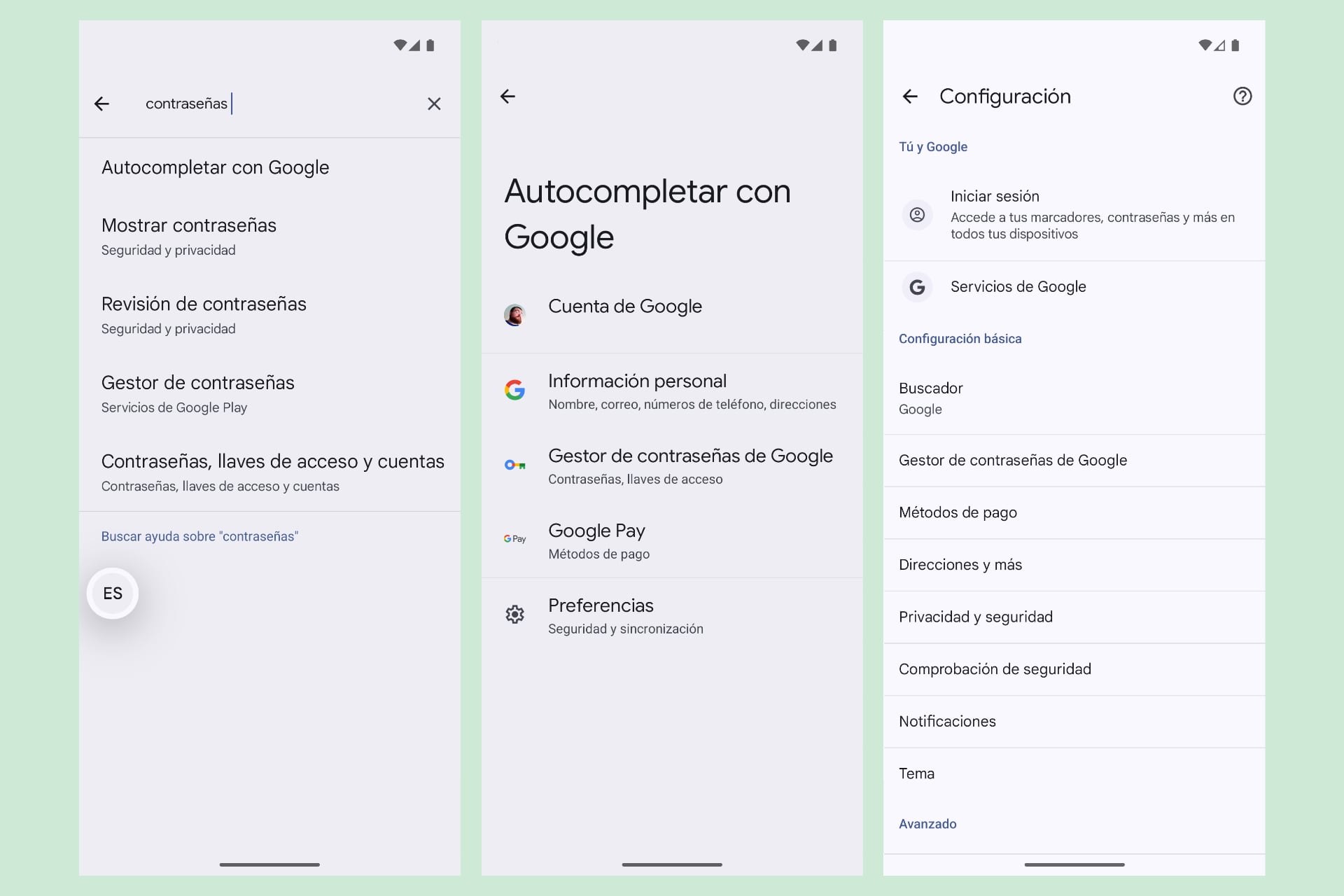 Gestor de contraseñas de Google - Contraseñas en Android
