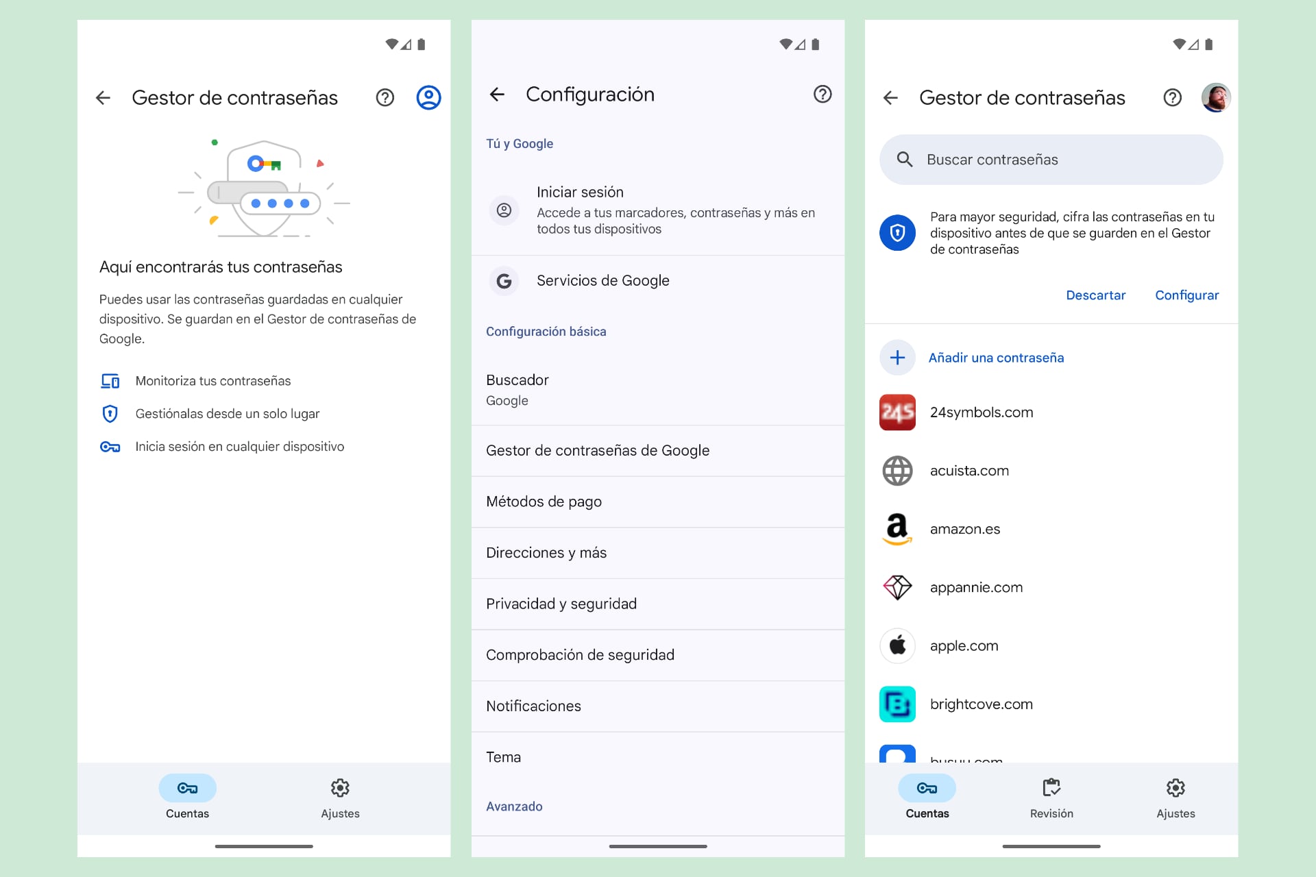 Gestor de contraseñas de Google - Contraseñas en Android