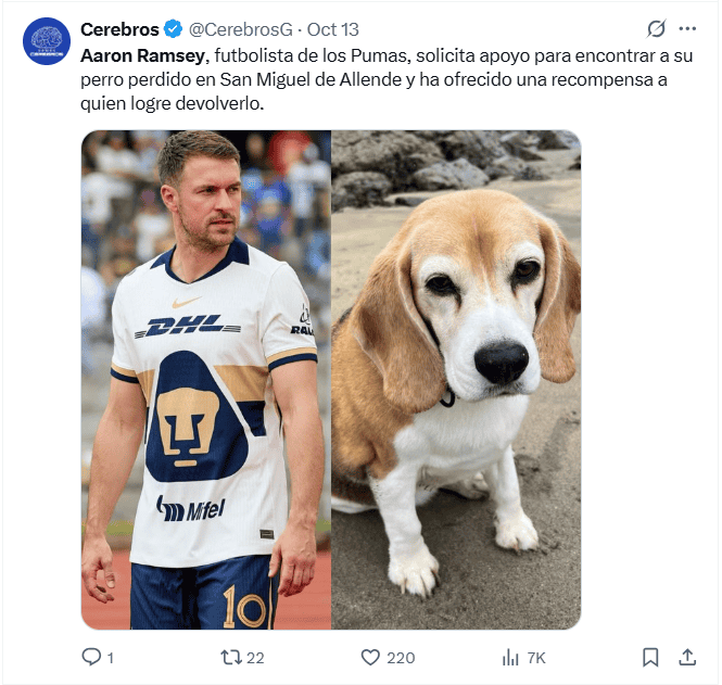 ESPECIAL / X ESPECIAL / X