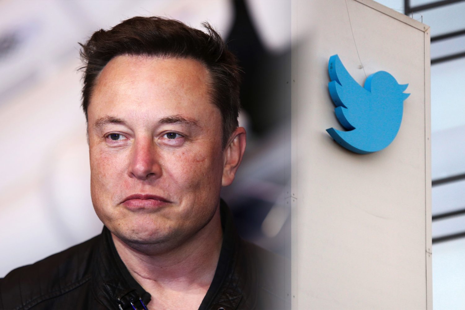 Elon Musk / Twitter