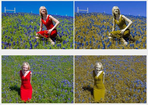 00131a65b033f90fb9c94587e52b756fo