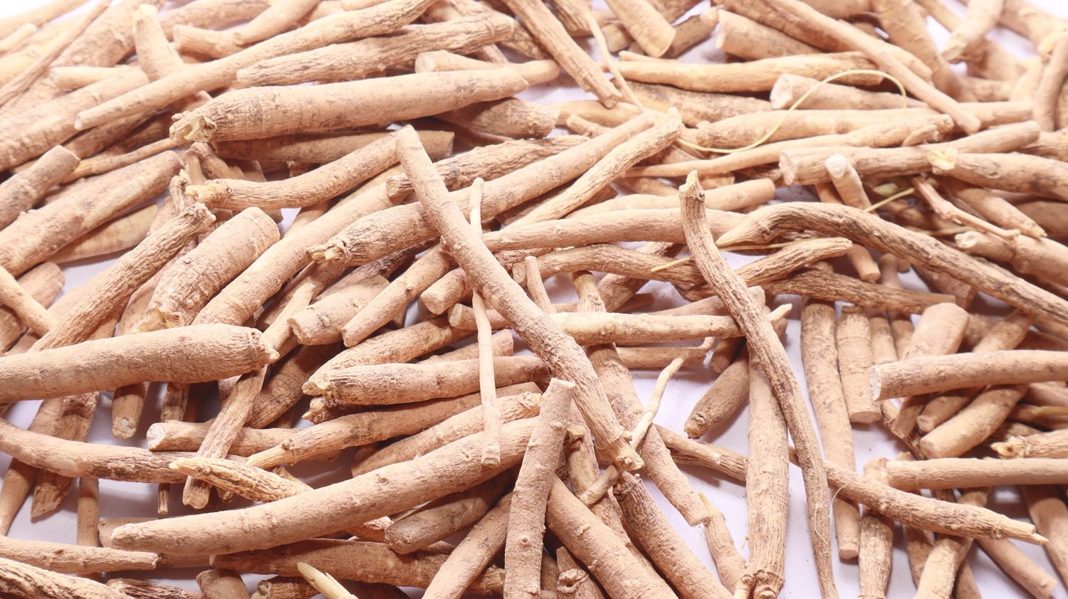 Raíces de ashwagandha