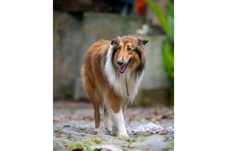 ¡De vuelta a casa! 20 de diciembre