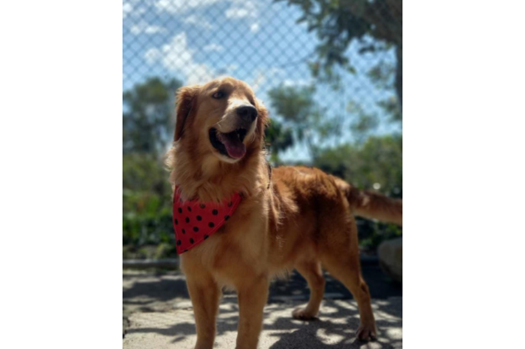 ¡De vuelta a casa! 20 de diciembre