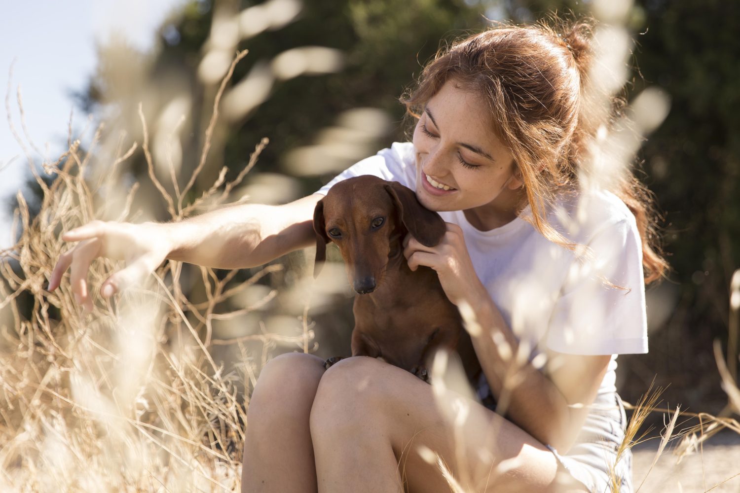 emociones de los perros
