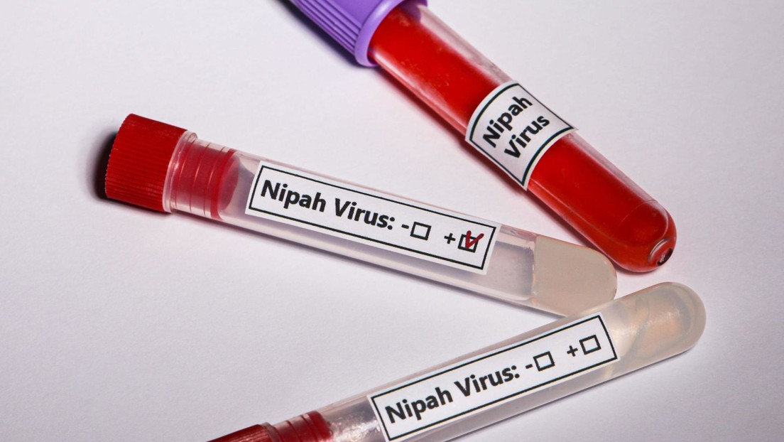 Un mortal virus que no tiene cura se propaga por la India