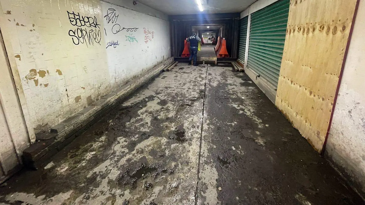 Bajopuente Calzada de Tlalpan