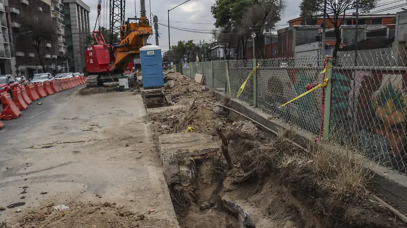 Tala de arboles calzada flotante de Tlalpan 