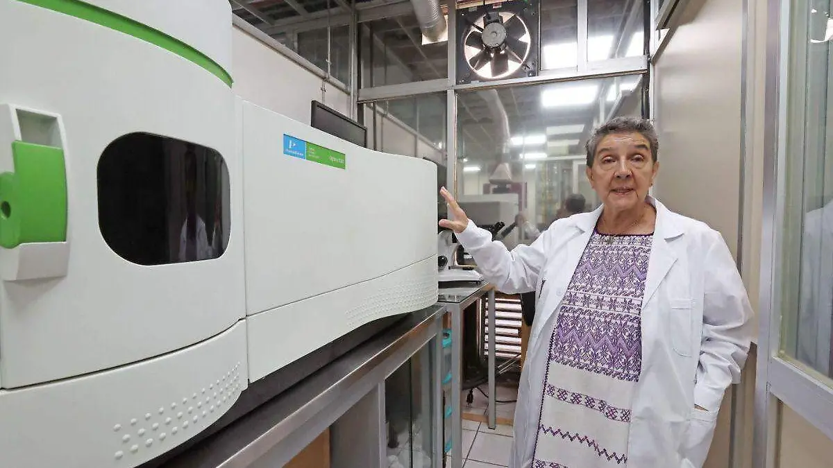 investigadora Norma Patricia Muñoz Sevilla