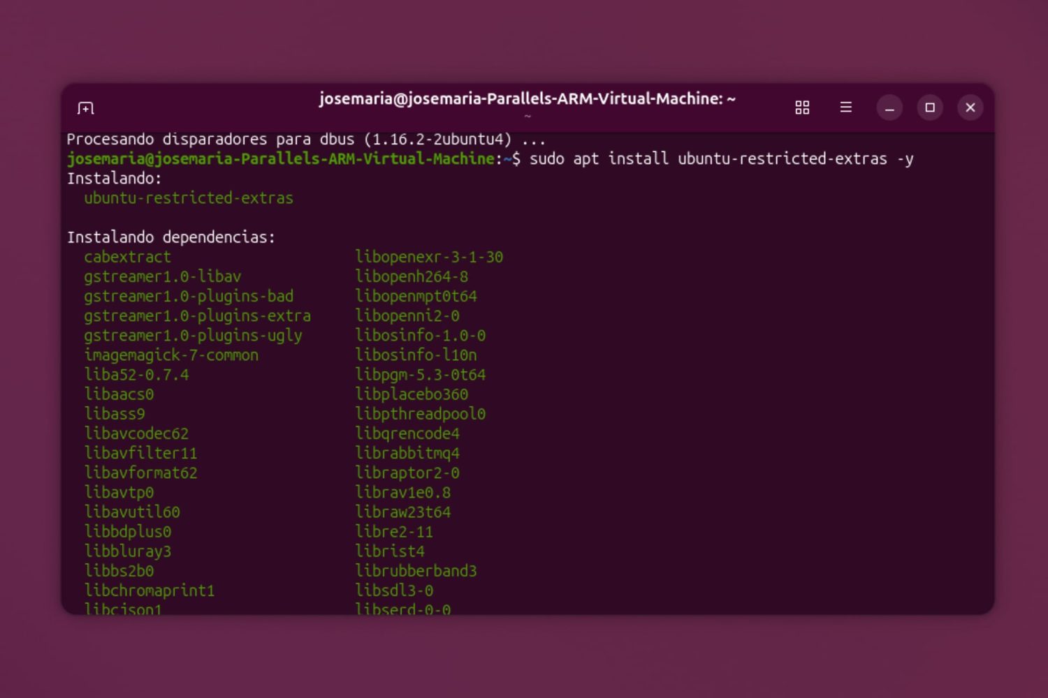 Con los códecs multimedia y los extras restringidos añadirás soporte a Ubuntu Linux para audio, video y otros formatos