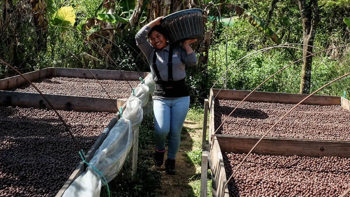 EL NINO AMENAZA CON AUMENTAR PRECIO EN MATERIAS PRIMAS cuartoscuro (1)